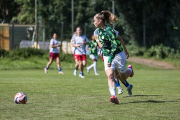 Bild 355 - wBJ Hamburger SV - VfL Wolfsburg : Ergebnis: 5:1